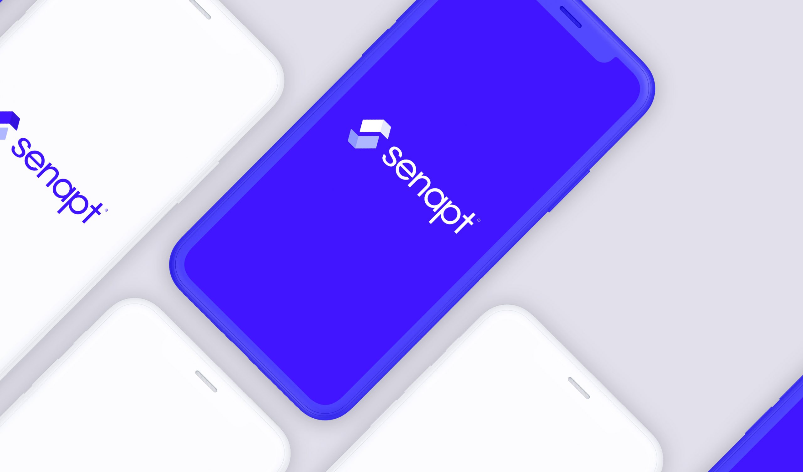 Senapt@2x